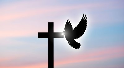 Aesthetic Christian Cross and Dove Wallpaper HD 4K - Spiritual Background