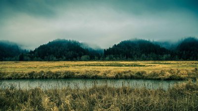 Moody Misty Forest and River Landscape Wallpaper HD 4K Aesthetic