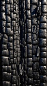 Dark Charred Burnt Wood Texture Aesthetic Wallpaper HD 4K for Mobile