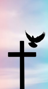 Aesthetic Christian Cross and Dove Wallpaper HD 4K for iPhone