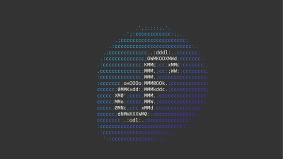 ASCII Art Portrait Wallpaper HD 4K Aesthetic Retro Tech Style