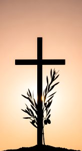 Christian Cross & Olive Branch Sunset Wallpaper HD 4K Aesthetic
