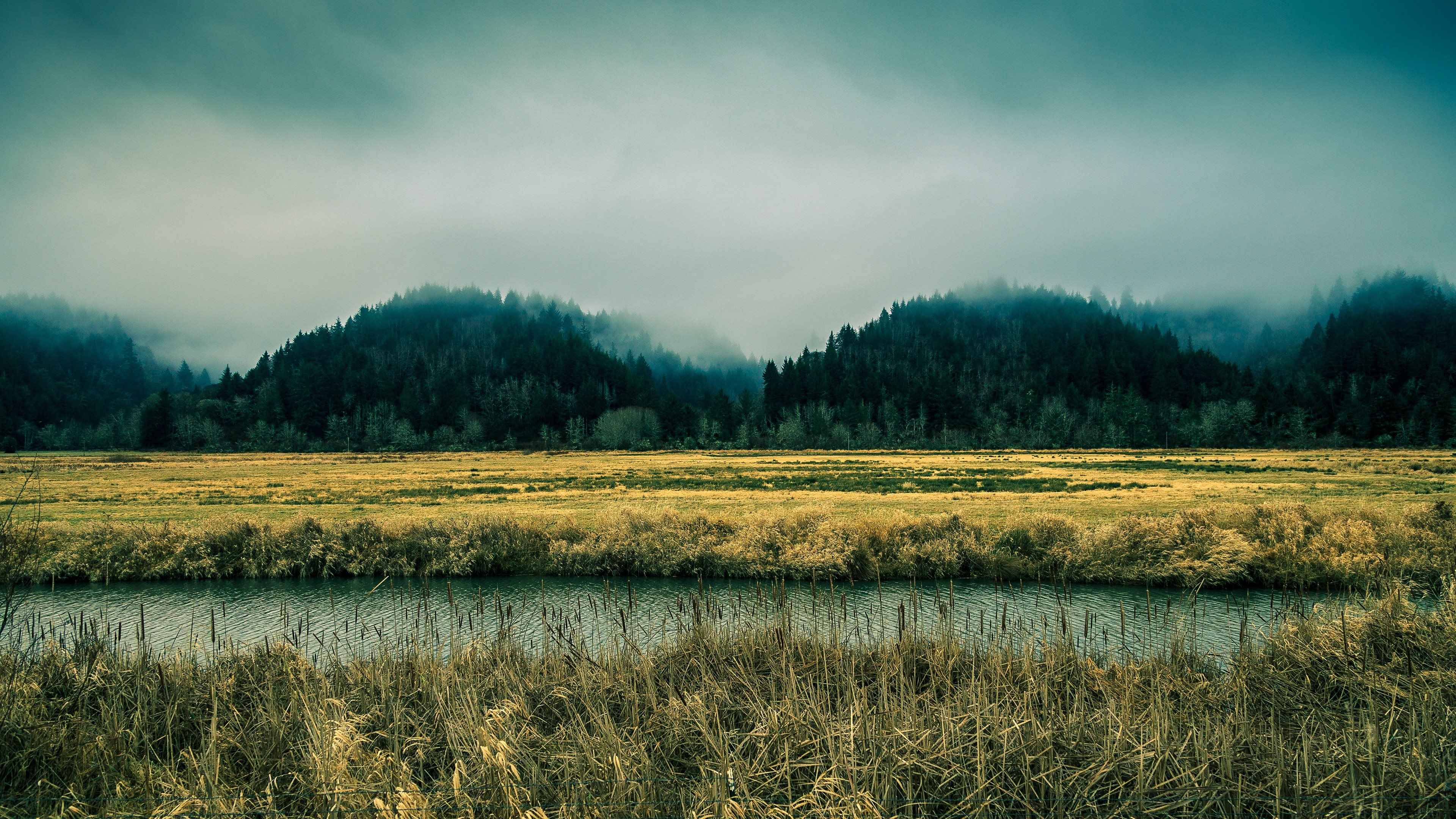 Moody Misty Forest and River Landscape Wallpaper HD 4K Aesthetic