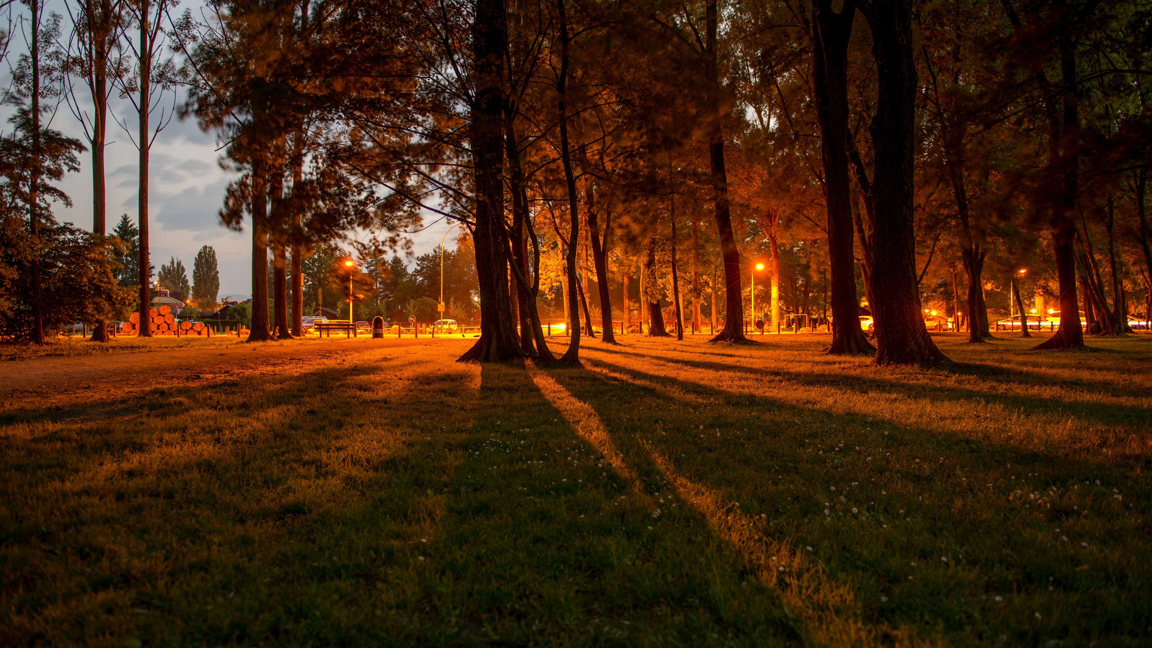 Golden Hour Forest Wallpaper HD 4K - Aesthetic Night Park Landscape