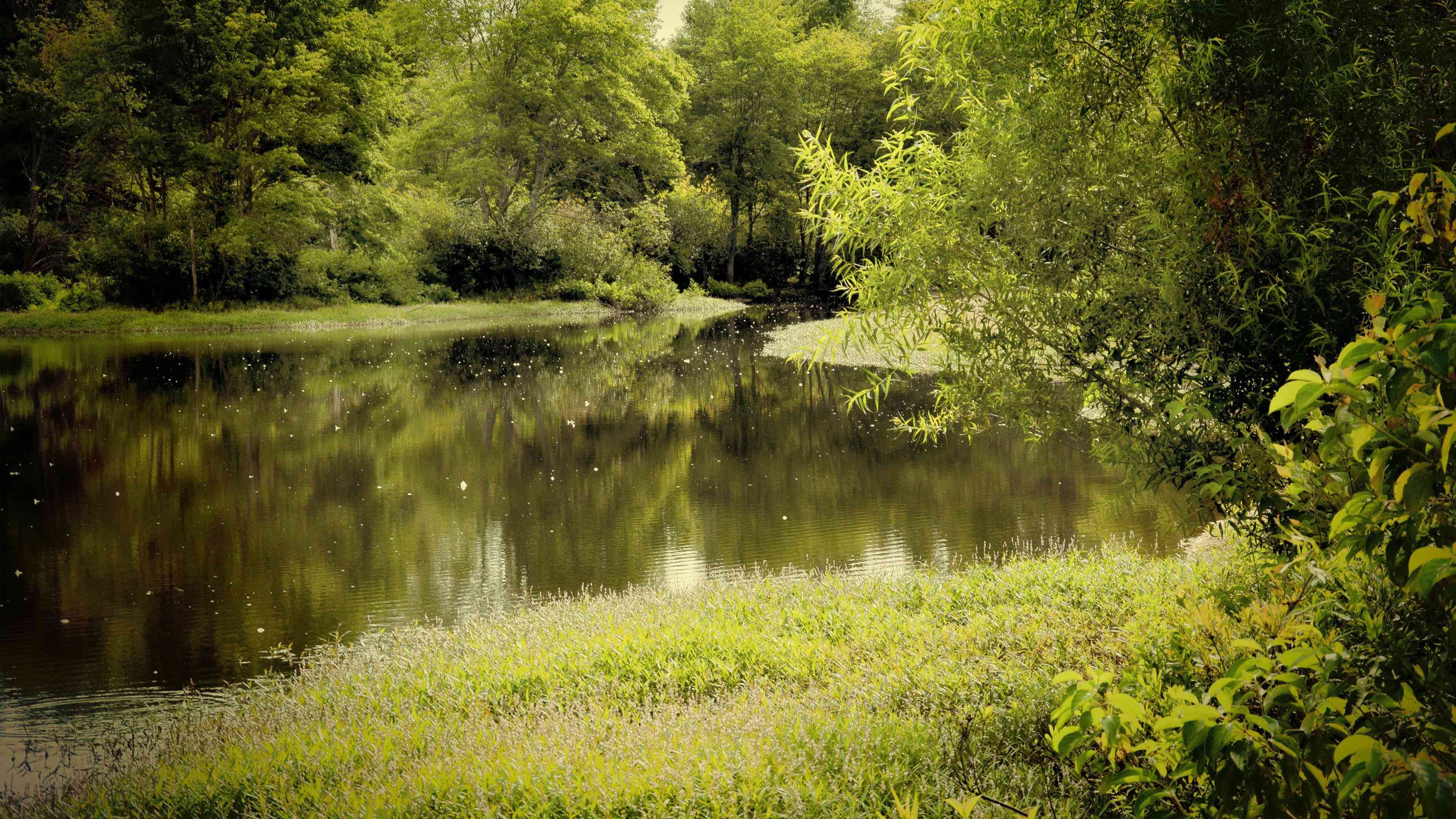 Serene Nature Lake Reflection Wallpaper HD 4K Aesthetic Landscape