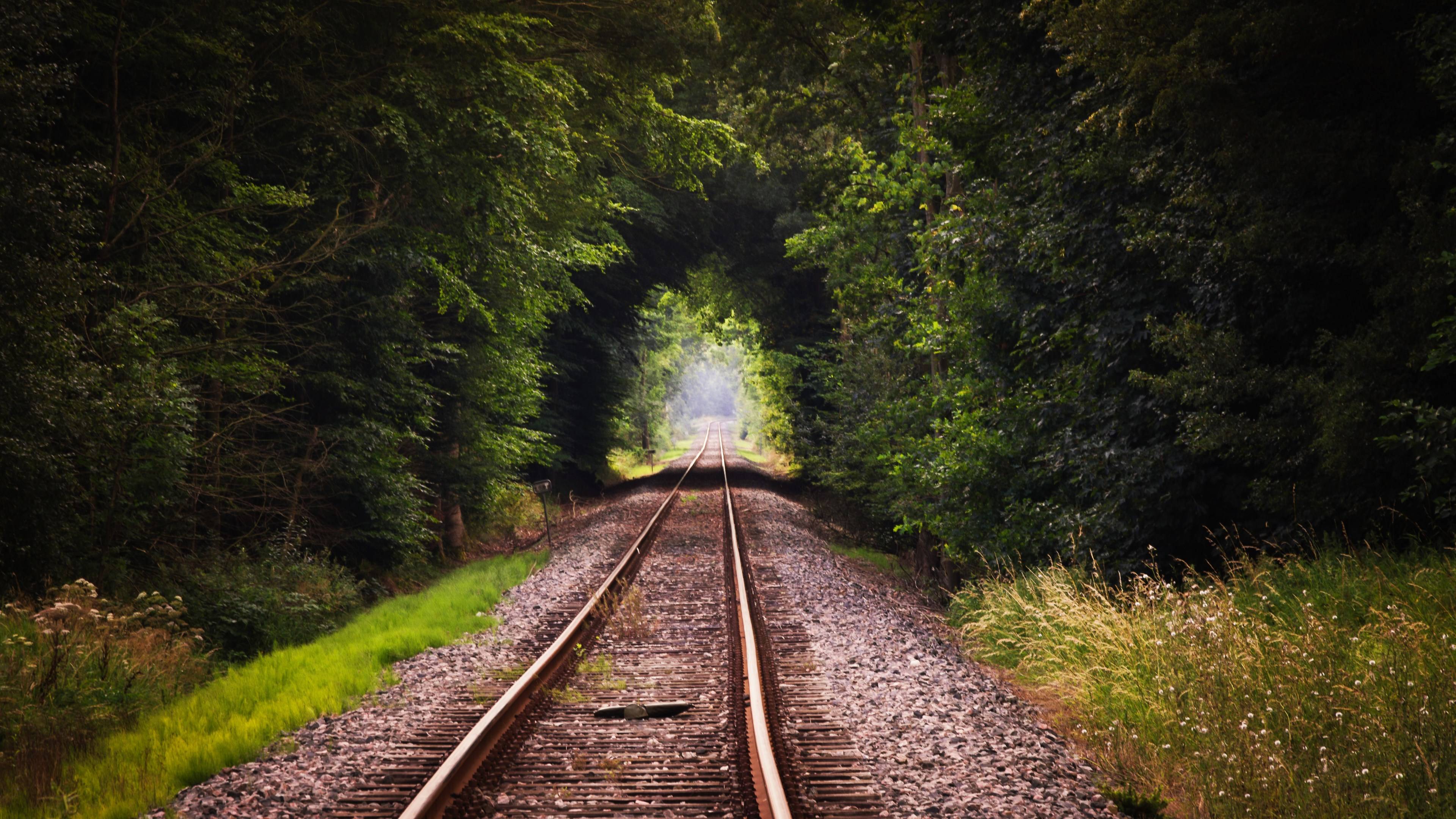 Aesthetic Forest Railway Wallpaper HD 4K - Peaceful Nature Journey